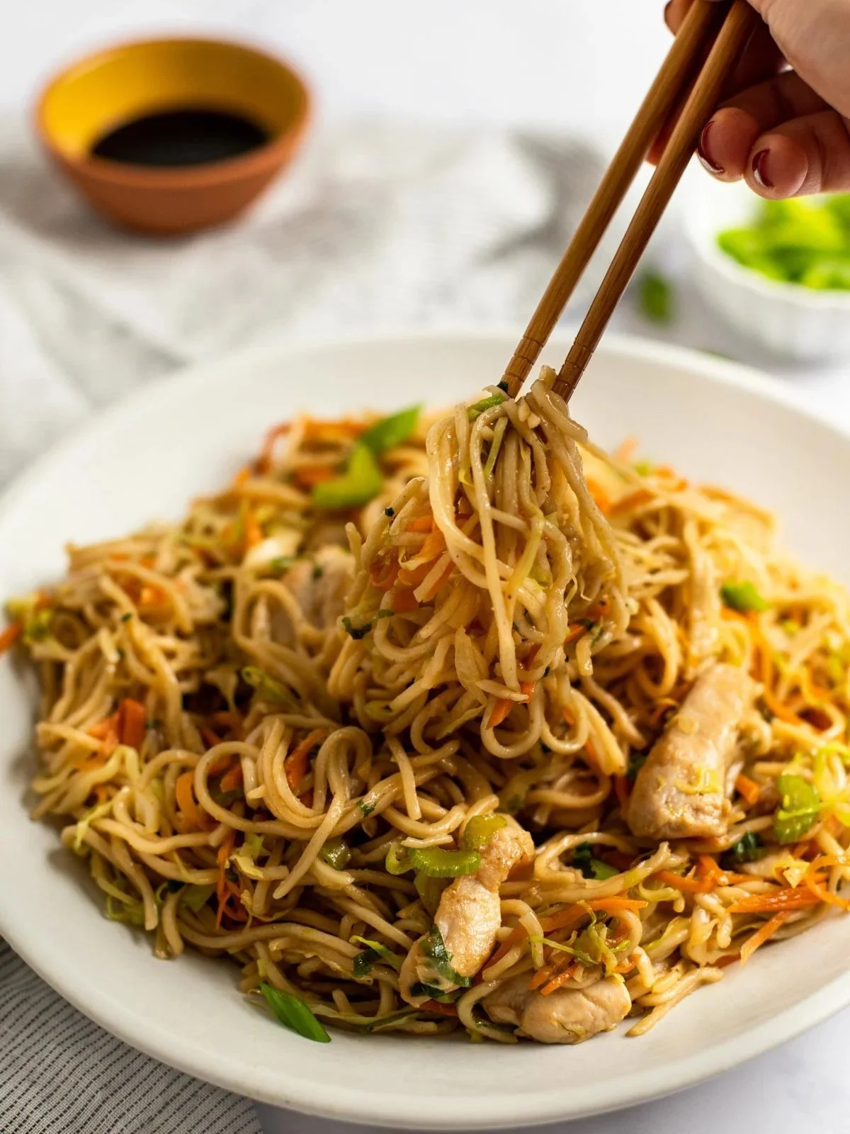 Classic Chicken Chow Mein