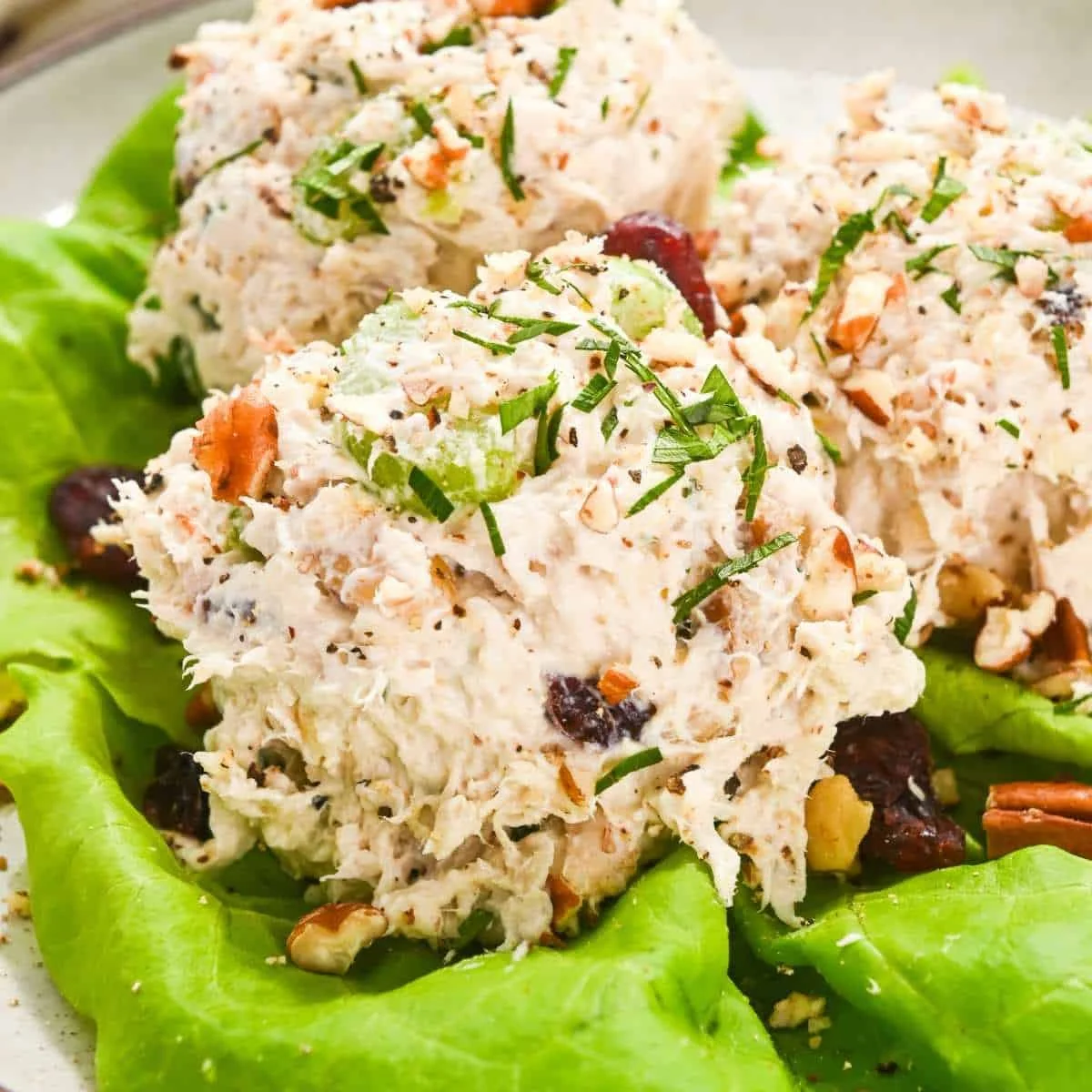 Cranberry Chicken Salad with Pecans