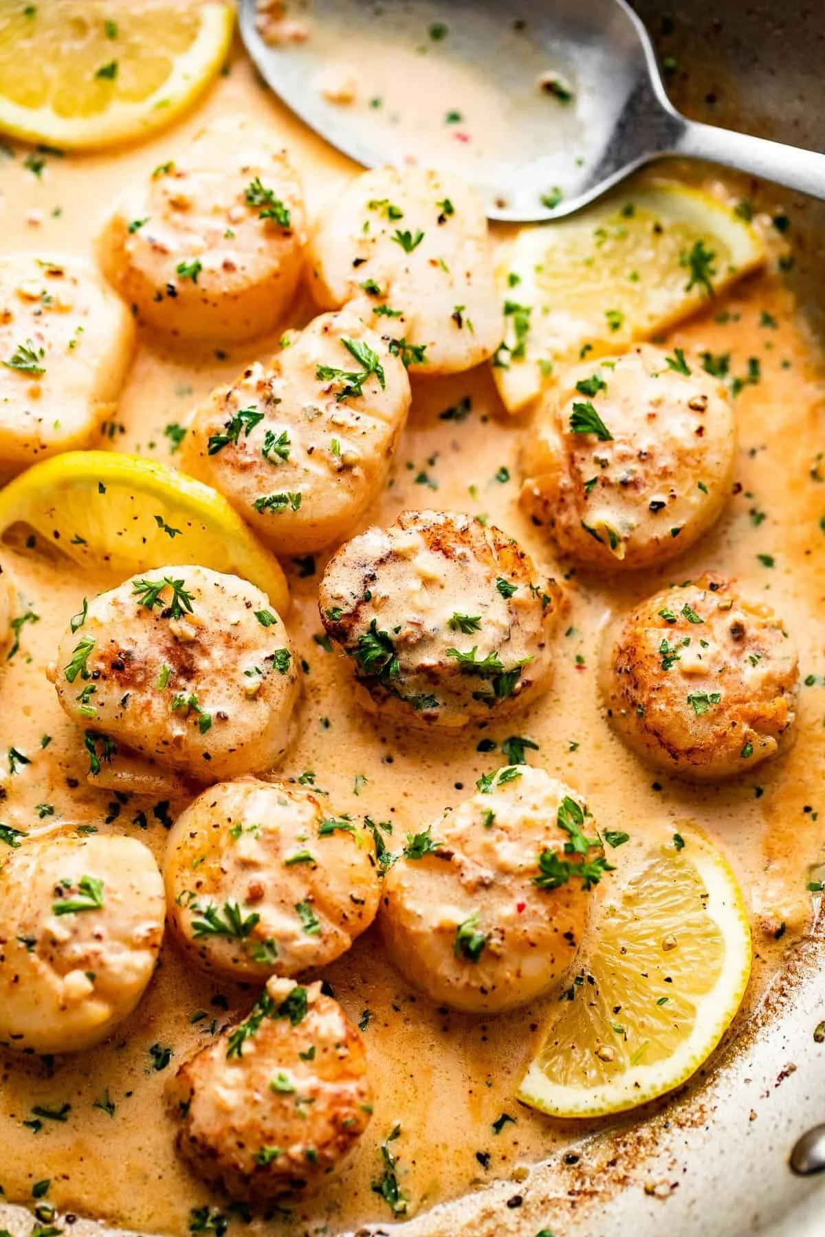 Creamed Lemon Butter Scallops