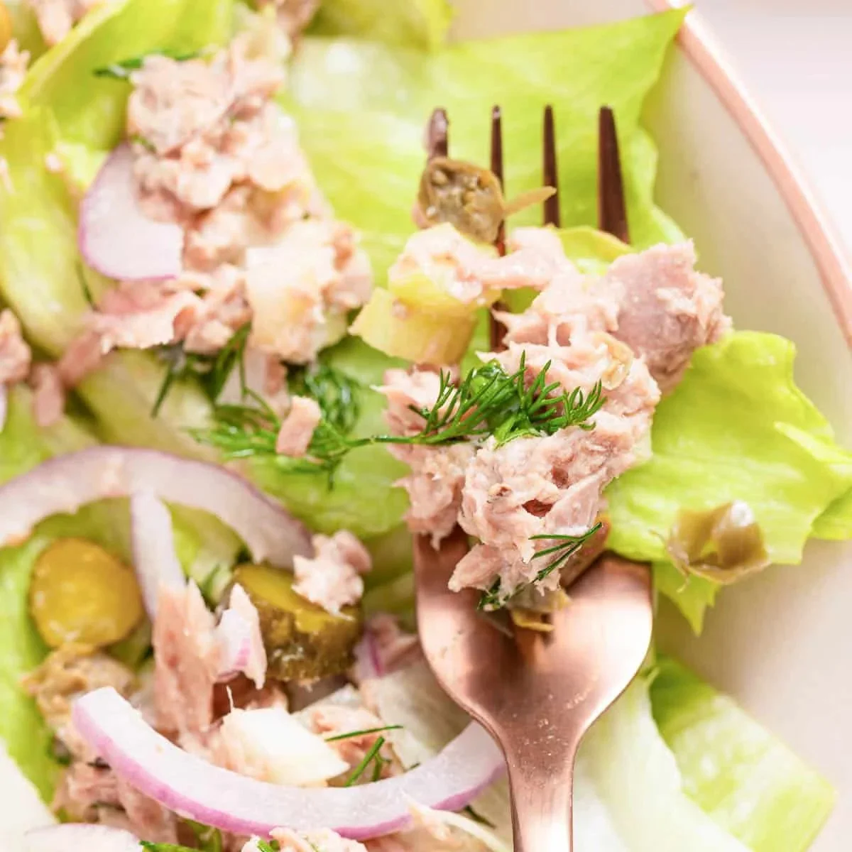 Mayo-Free Healthy Tuna Salad