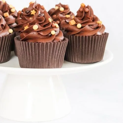 Mini Batch Chocolate Cupcakes