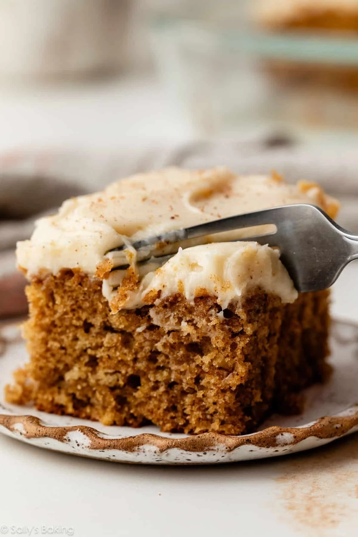 Moist Spiced Cake Delight