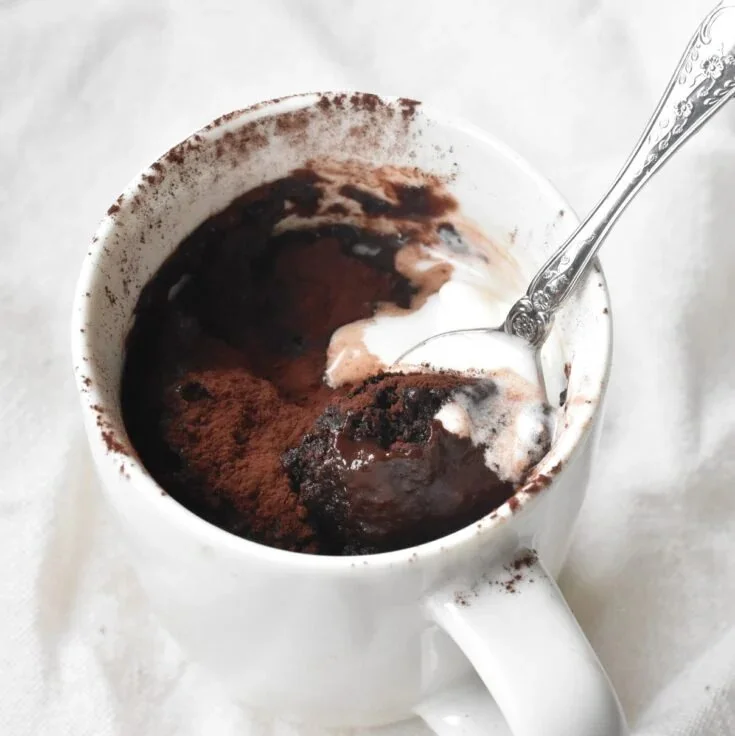 Mug Self-Saucing Chocolate Pudding