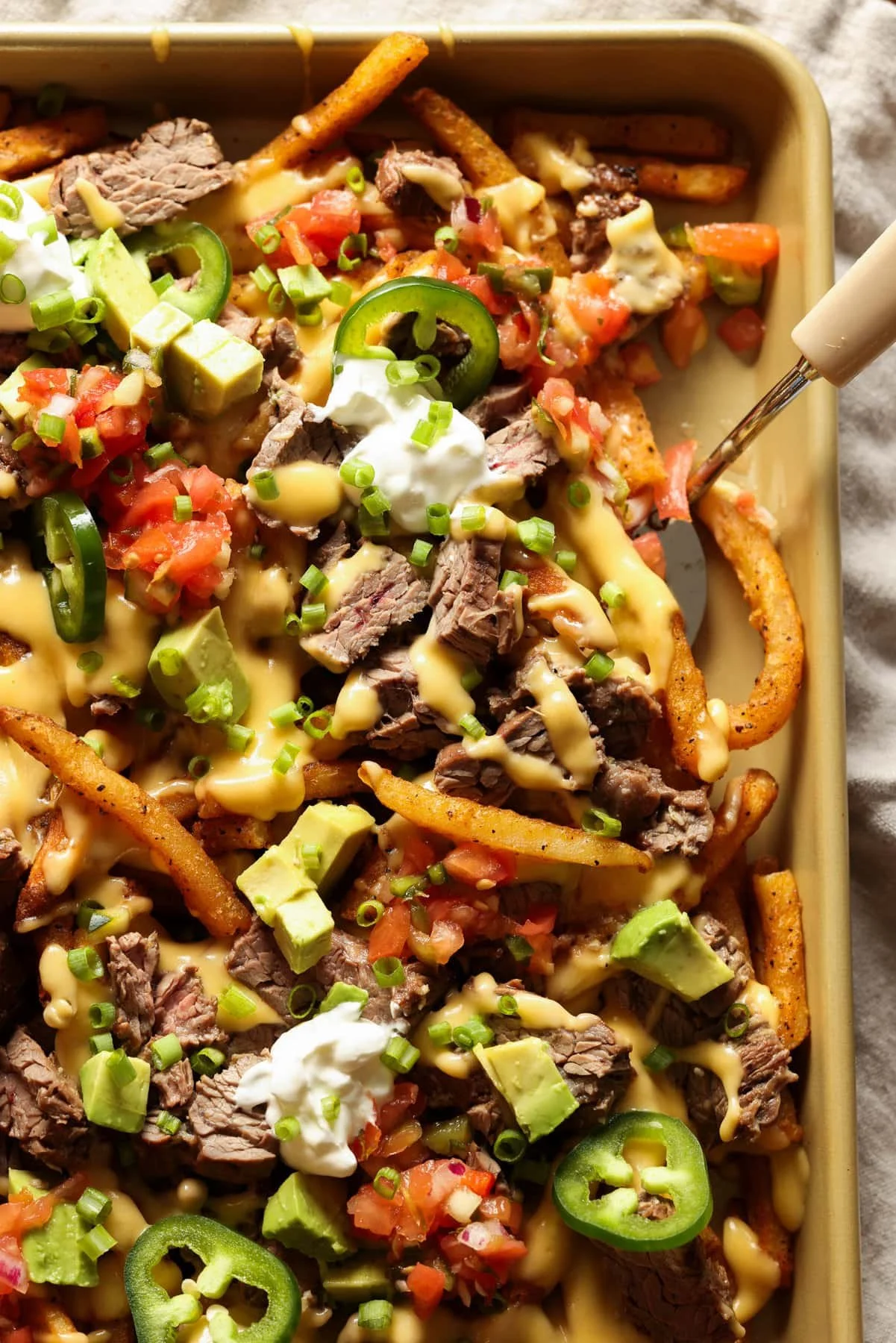 Sizzling Beef Fries