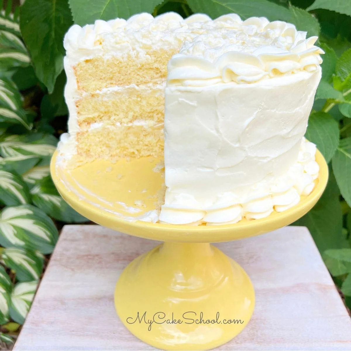 Tropical Pineapple Dream Cake