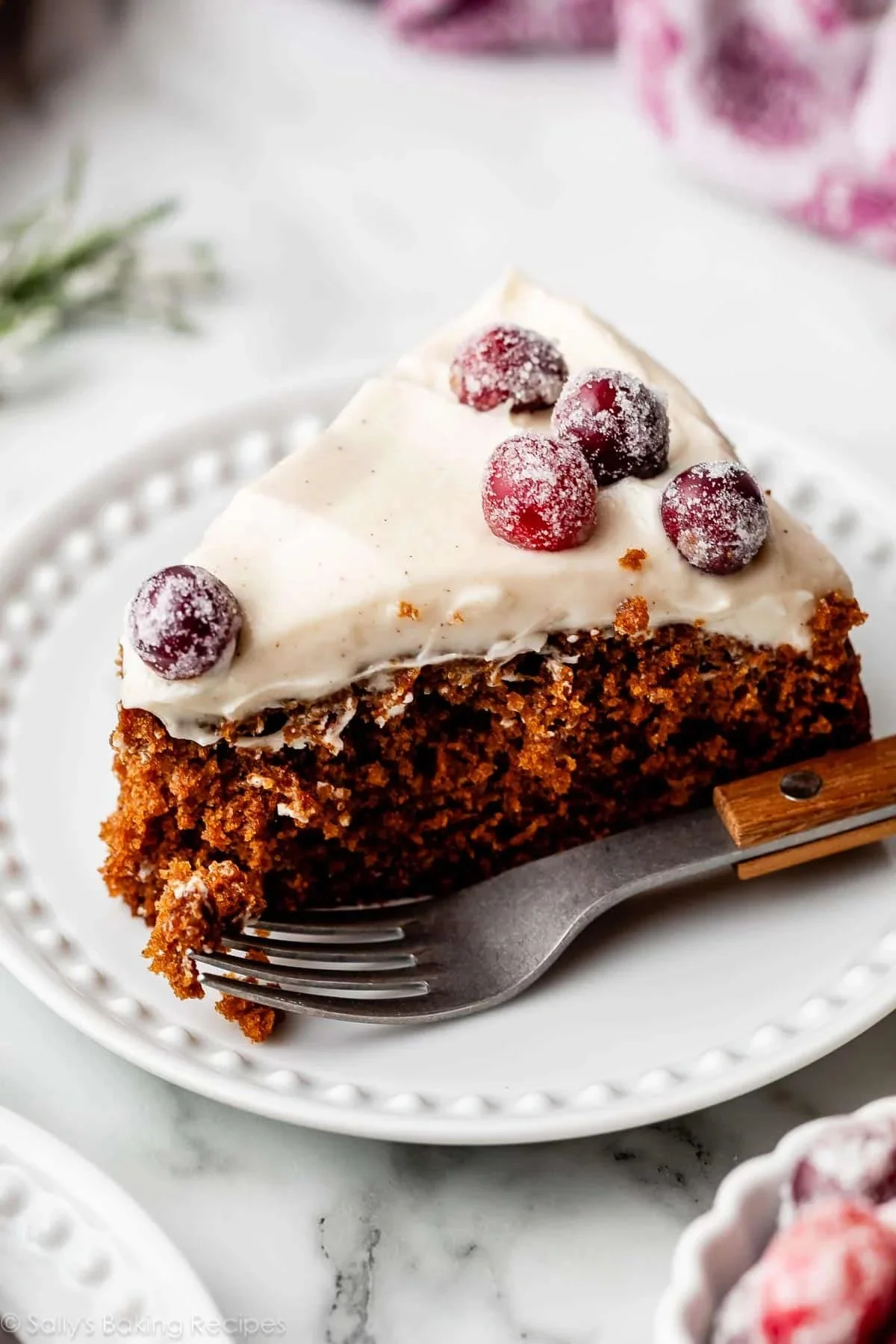 Warm Spiced Gingerbread Cake